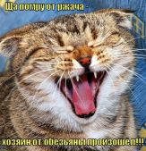 ot-obezyany-proizoshyol 