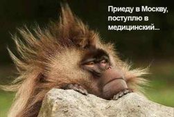 планы планы