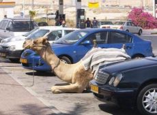 Припарковался