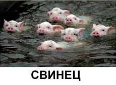 свинец свинец