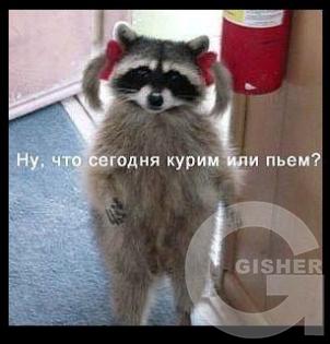 тяжелые буднИ