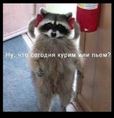 тяжелые буднИ