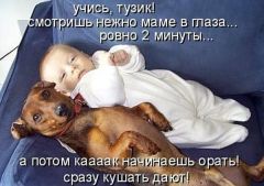 Учись, тузик!