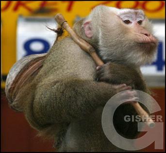 ухожу от вас