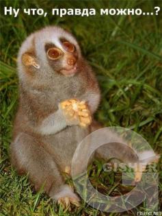 ХААААААААААААААА