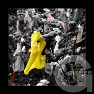 Raznocvetnie mechti v chernobelom mire