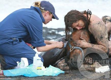 Спасение лошади на пляже в Австралии