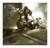 Still Life - 3