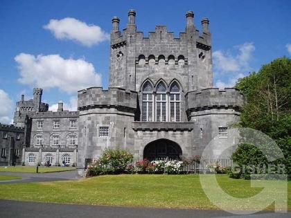 сказочный замок