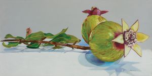 Green Pomegranates, 2008