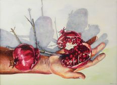Pomegranate Harry, 2008