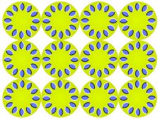 Глазам не верить)