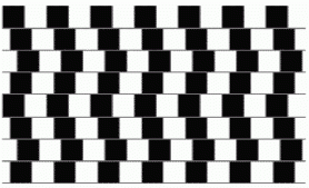 Линии кажутся кривыми