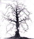 Сколько лиц?