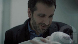 Mexramis - seria 302