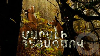 Sepakan pordzov - Episode 25