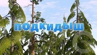 Маша и Медведь : Подкидыш (23 серия)