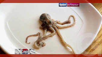 Орел и решка. Перезагрузка: Сеул. Южная Корея