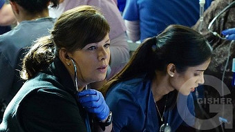 Սև կոդը - սերիա 10