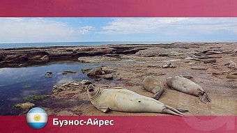 Орел и решка: Буэнос-Айрес. Аргентина