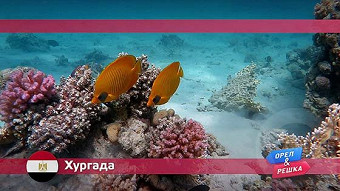 Орел и решка: Хургада. Египет