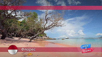 Орел и решка: Флорес. Индонезия