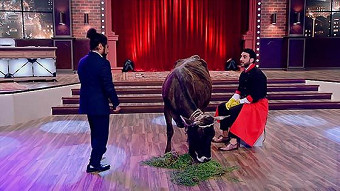 Erekoyan Azoyan - Episode 4