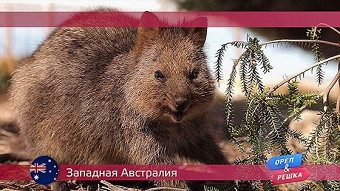 Орел и решка, Западная Австралия