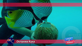 Орел и решка. Острова Кука