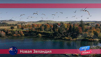 Орел и решка. Новая Зеландия