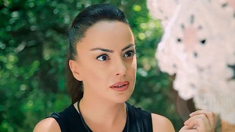 Nran hatik - seria 212