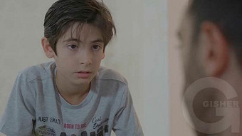 Ushacac ser - seria 29