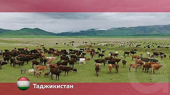 Орел и решка. Таджикистан