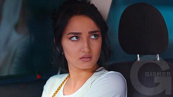 Ayrvac anurjner - seria 42