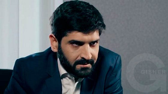 Shirazi varde - seria 7