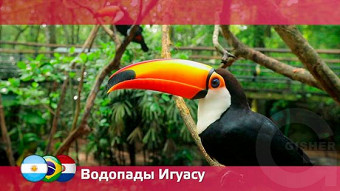 Орел и решка:  Водопады Игуасу
