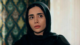 Shirazi varde - seria 2