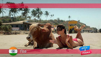 Орел и решка: Гоа. Индия