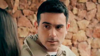 Shirazi varde - seria 18