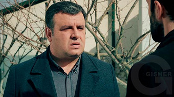 Shirazi varde - seria 23