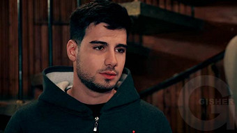 Shirazi varde - seria 19