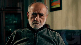 Shirazi varde - seria 20