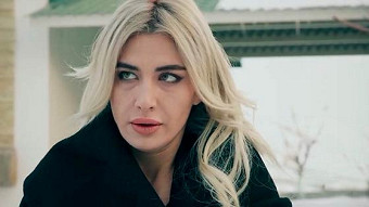 Shirazi varde - seria 28