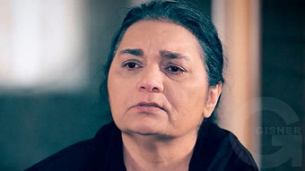 Patvic aravel - seria 3