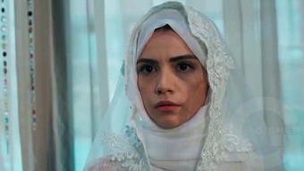 Shirazi varde - seria 33