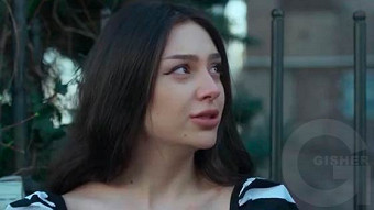 Shirazi varde - seria 38