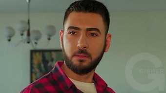 Shirazi varde - seria 37