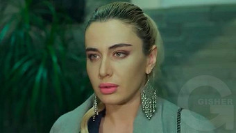 Shirazi varde - seria 40