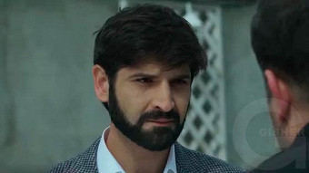 Shirazi varde - seria 41