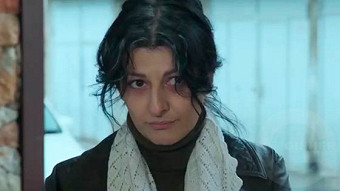 Shirazi varde - seria 42